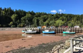 Shore Tours