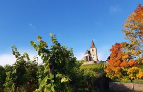 ICONICS Tour: 1/2 day on the Wine Route, visit of 2 Villages + Tasting.