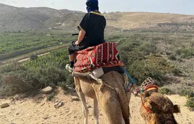 Saidia half-day camel ride