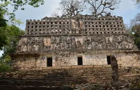 Lacandona Jungle, Yaxchilan and Bonampak full-day guided tour from Palenque