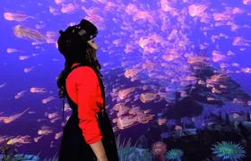 1 Hour VR Gaming Experience in Bournemouth