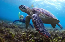 Snorkeling and Watersport Activities at Fujairah Snoopy Island