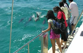 Dolphin Watch + Sailing - Port Stephens
