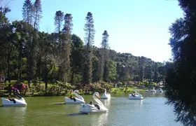 Tour Hortencias cinnamon Private lawn - 1-4 Pax by Fatur Turismo