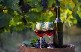 Bodega Viña Real Guided Tour with Wine and Cheese Tasting