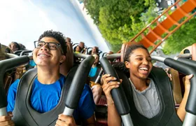 Dorney Park One Day Ticket