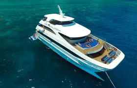 Great Barrier Reef Snorkeling and Diving Cruise