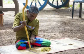 Sri Lankan Farm and Spice Traditions Tour with Tuk Tuk ride