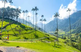 Filandia, Salento and Cocora Valley tour from Pereira