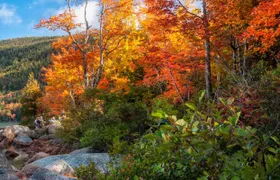Acadia's Ocean Path Self-Guided Walking Audio Tour