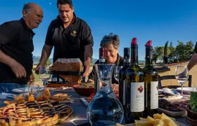 Winery Tour and Private Tasting in Montefalco