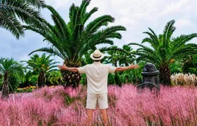 Jeju: UNESCO-Listed Southern Authentic Day Tour