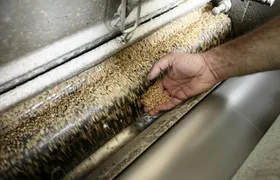 Caltagirone's Historic Mill Guided Tour and Optional Tasting