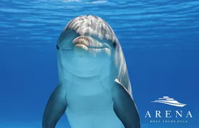 Fantastic DOLPHIN & SUNSET TOUR with dinner (Pula - NP BRIJUNI)