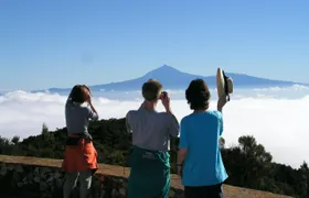 La Gomera Rainforest Hike
