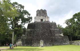 Tikal VIP Exclusive Tour All inclusive from Flores Guatemala