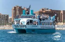 Dolphin watching catamaran cruise along Costa del Sol