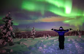 Northern Lights Wilderness Small-Group Tour from Rovaniemi 