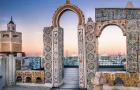 Private tour: Medina,Carthage ,Sidi Bou Said, Bardo Museum+lunch