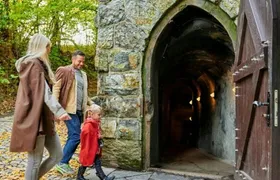 Fairy Grottoes combo ticket with family tour and forest adventure