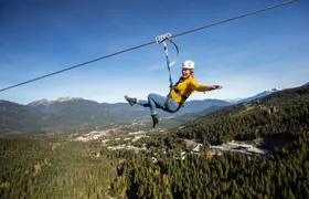 Bear zip tour in Whistler