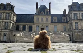 Château de Fontainebleau and Barbizon Village Full Day Tour