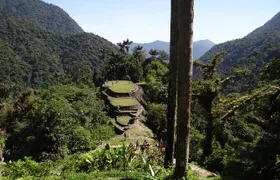 Hike for 4 days to the Lost City, Santa Marta