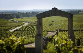 Private Wine Tasting Tour - Burgundy Uncorked!!