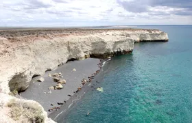 Puerto Madryn private tour and Punta Loma sea lions reserve visit