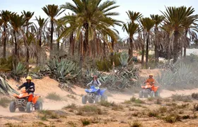 Djerba quad bike safari ticket