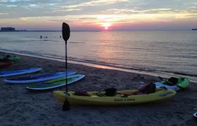 Sunset Dolphin Kayak Tours
