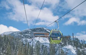 Sea to Sky Gondola Ticket