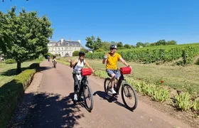 Private Amboise E Bike Tour Clos Luce