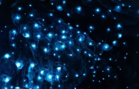 Te Anau Glowworm Caves