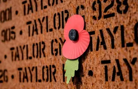 A Story of Discovery, Education and Remembrance