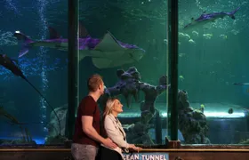 Sea life Blackpool entrance tickets
