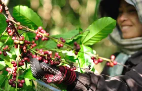 Full Day Crossing the Bolaven Plateau