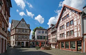 Mainz Private Walking Tour With A Professional Guide