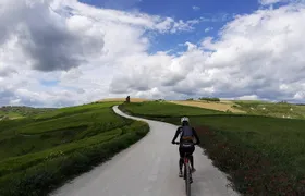 EBike tour with organic wine tasting