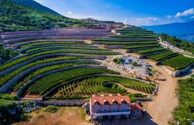 Winery guided tour with tasting at Lipovac winery in Građani