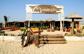 Boa Vista beachside sunset dinner with live music experience and optional transfers