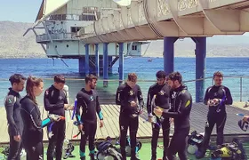 PADI Open Water Diver Course - 5 Days Scuba Diving 