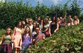 English + Medicine University Taster One Week Program in London