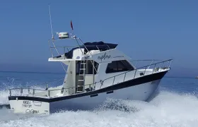 Sesimbra: All-inclusive Sport Fishing Tour