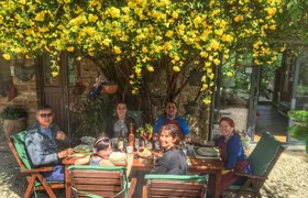 Organic cooking class with a sommelier in an Olive and wine farm