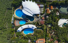 Tickets to Loro Parque in Tenerife