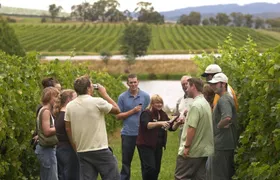Visit to two wineries in La Rioja with pintxos from Vitoria