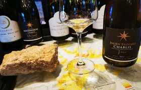 Chablis & Northern Burgundy Wine Tour