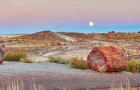 Self-Guided Driving Tour of Petrified Forest National Park