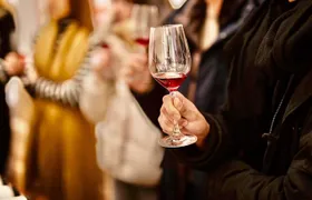 Pinot Noir Masterclass - Wine tasting in Dijon
